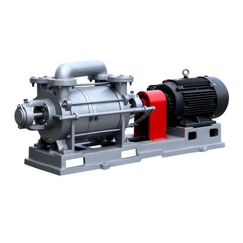 2SK series water ring vacuum pump